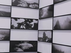 -贡湖湾湿地公园