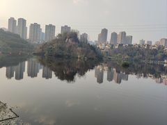-重庆彩云湖湿地公园