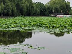 -北陵公园