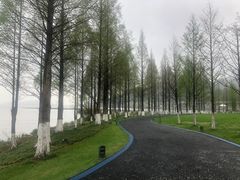 -东钱湖旅游度假区