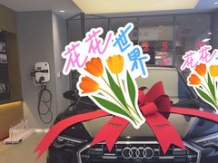 -上海永达奥诚奥迪4S店(申江路店)