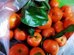 砂糖橘-果多美(万泉庄店)