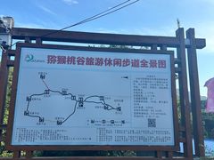 -大岭沟猕猴桃谷风景区