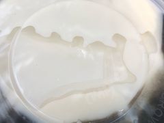 -鞠氏黑芝麻糊(水塔店)