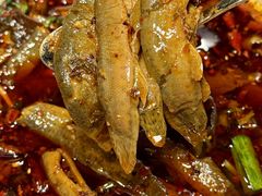 -情妹耙泥鳅·江湖川菜(科华店)