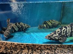 -百纳·锦绣江南 (百纳瑞汀酒店)