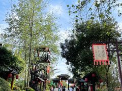 -合肥滨湖国家森林公园