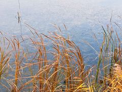 -野鸭湖国家湿地公园
