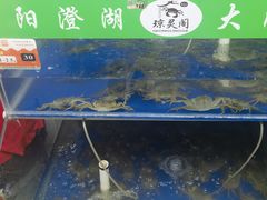 -阳澄湖大闸蟹·琼灵阁牌品牌连锁(吴中总店)