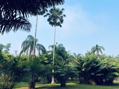 -中国科学院西双版纳热带植物园