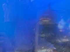 -鱼酷活鱼烤鱼(静安大融城店)