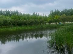 -昆山城市生态森林公园