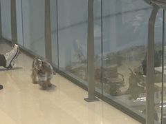 -天津万象城