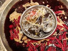 -堂客老火锅(欣阳广场总店)
