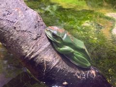 -正佳雨林生态植物园