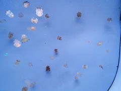 -常州海昌海洋探索馆