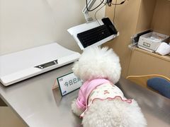 -柏萃动物医院·骨科·牙科