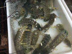 -拉威海鲜市场