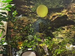 -雅苑中餐厅