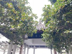 -南方迷宗大包(湖滨店)