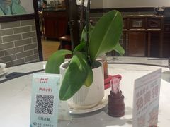 -山水茶艺馆·点心粤菜·30年老字号