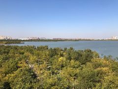 -天津东丽湖风景区