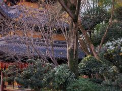 -龙华寺