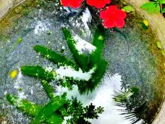 -三亚珠江南田温泉度假区