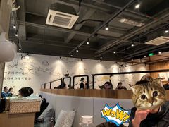 -MR鹅外