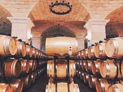 -北京张裕爱斐堡酒庄