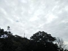 -紫金山天文台