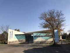 -上海滨江森林公园