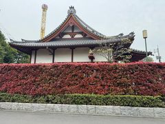 -浅草寺