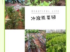 -冲浪熊西餐厅(昌黎店)