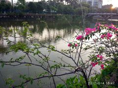-五邑大学
