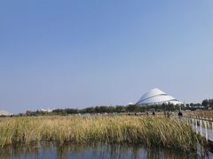 -哈尔滨大剧院