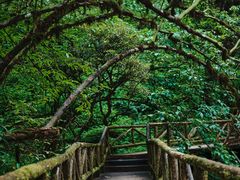 -龙苍沟森林公园