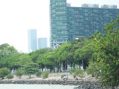 -深圳湾公园(南山区)