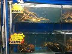-蚝专家(北滘店)