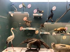 -国家自然博物馆