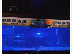 -成都浩海立方海洋公园