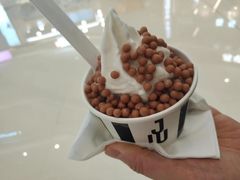 -JW德国冻酸奶Frozen Yogurt(龙湖成都滨江天街店)