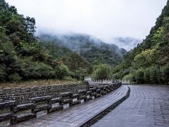 -牛背梁国家森林公园