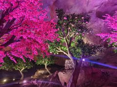 -九华秋浦胜境大王洞风景区