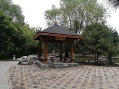 -大兴滨河森林公园