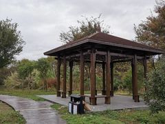 -南湖湿地公园