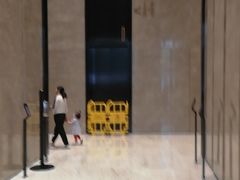 -潮双喜正宗澄海狮头鹅华利路店
