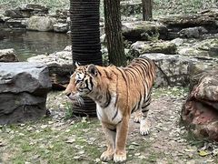 -北京野生动物园