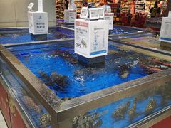 水产区-盒马鲜生(财富中心店)