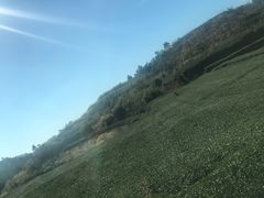 -军营村